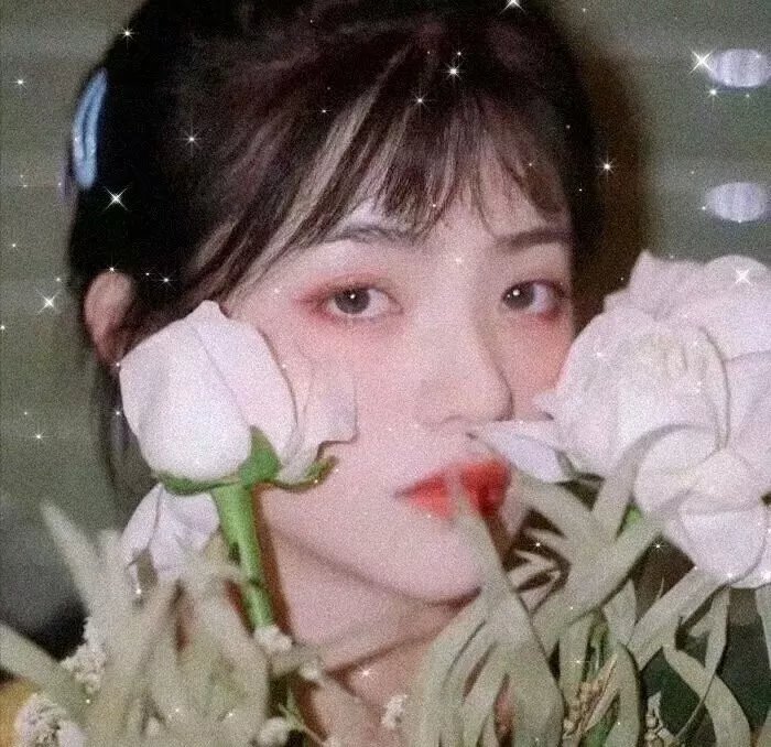 捕风追影海报